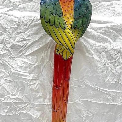 Colorful Macaw Parrot with Attitude 