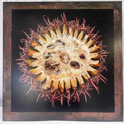 Barrel Cross-Section #3(Cactus Macro Print on Steel) By William Lesch
