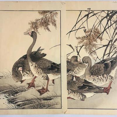 Japanese Woodblock Prints of Ducks by Imao Keinen