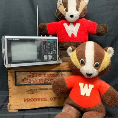 Fl116 emerson portable tv radio wolverines