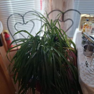 Sale Photo Thumbnail #28