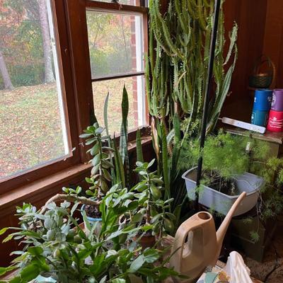 Sale Photo Thumbnail #40