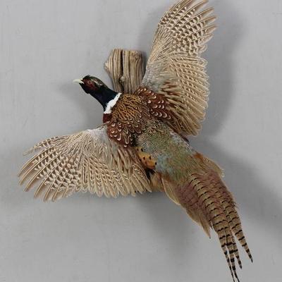 Sale Photo Thumbnail #210