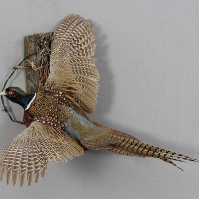 Sale Photo Thumbnail #211