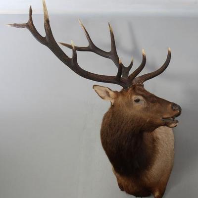 Sale Photo Thumbnail #195