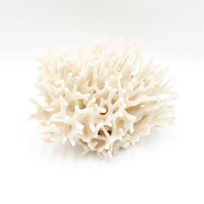 Sale Photo Thumbnail #89