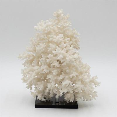 Sale Photo Thumbnail #290