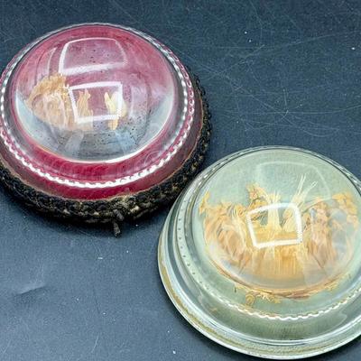 (2) Vintage Paperweights-Shells & Flowers