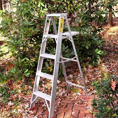 Werner 5’ Aluminum Painters Ladder