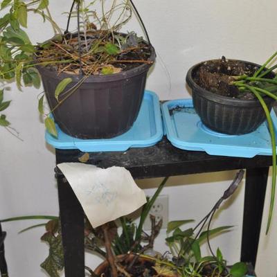 Sale Photo Thumbnail #105