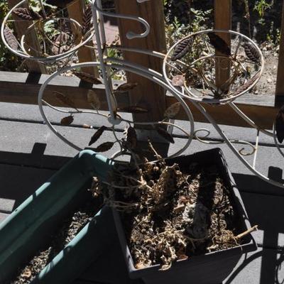 Sale Photo Thumbnail #103