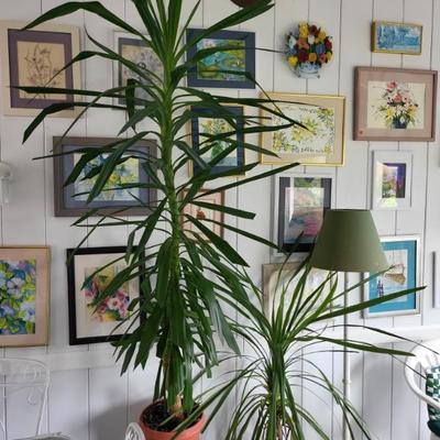 Sale Photo Thumbnail #47