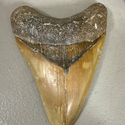 Sale Photo Thumbnail #53