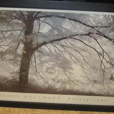 Sale Photo Thumbnail #49