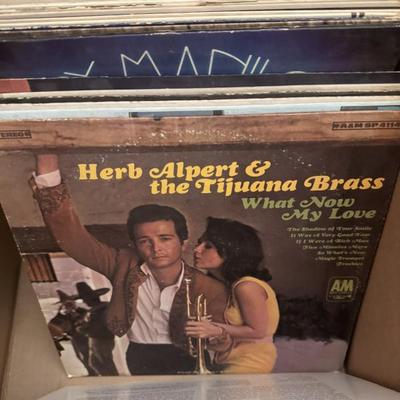 Sale Photo Thumbnail #163