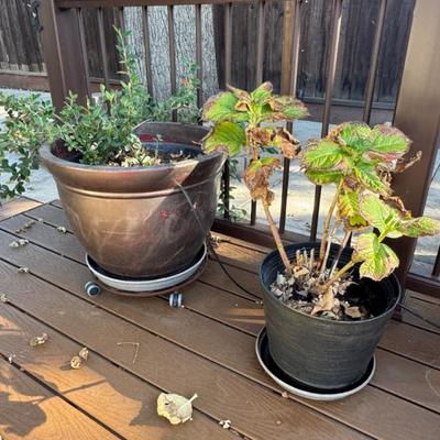 Sale Photo Thumbnail #178