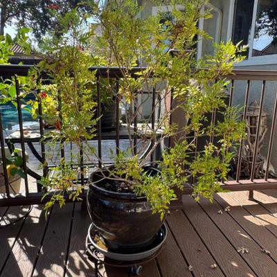 Sale Photo Thumbnail #171