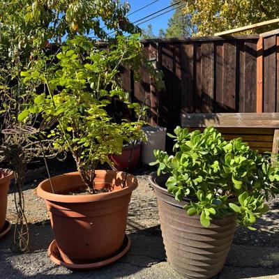 Sale Photo Thumbnail #31