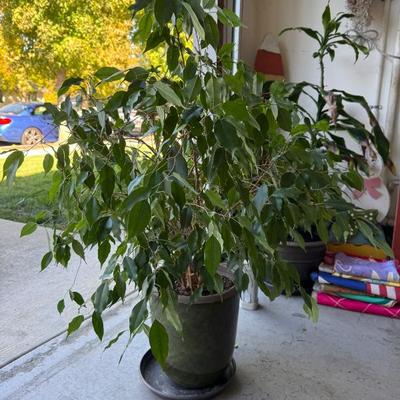 Sale Photo Thumbnail #63