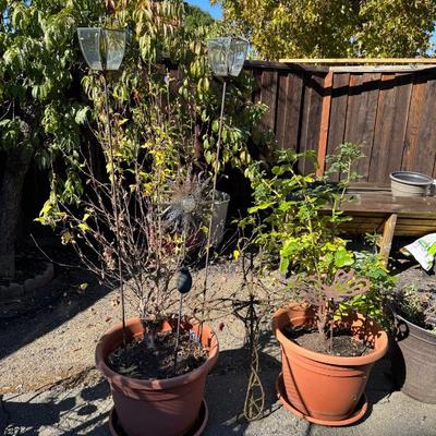 Sale Photo Thumbnail #23