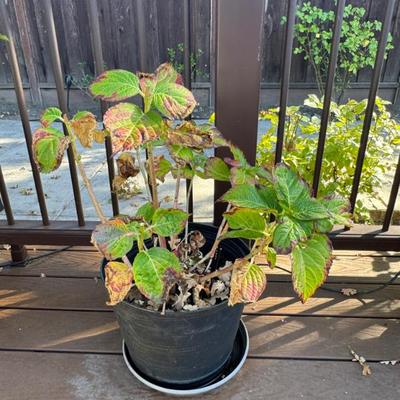 Sale Photo Thumbnail #175