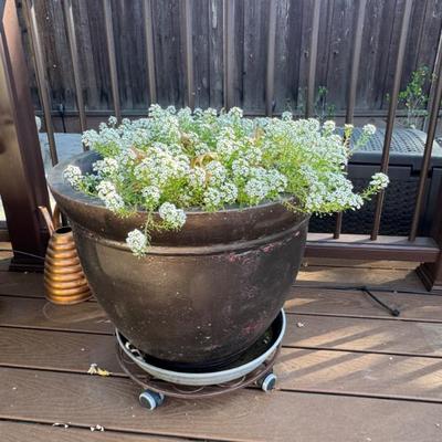 Sale Photo Thumbnail #177