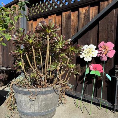 Sale Photo Thumbnail #29