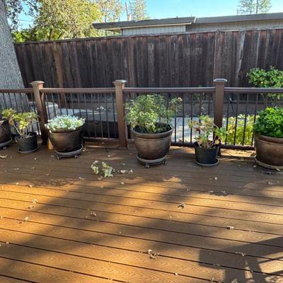 Sale Photo Thumbnail #173