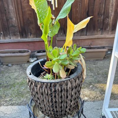 Sale Photo Thumbnail #22