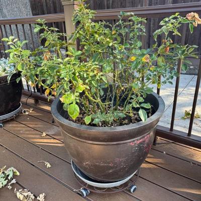 Sale Photo Thumbnail #176