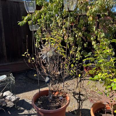 Sale Photo Thumbnail #32