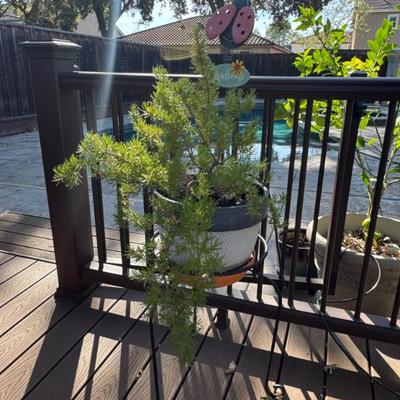 Sale Photo Thumbnail #172