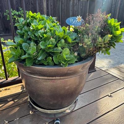 Sale Photo Thumbnail #174