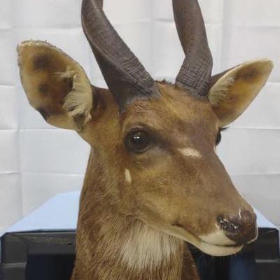 Sale Photo Thumbnail #164