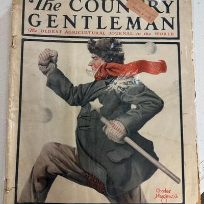 Sale Photo Thumbnail #272