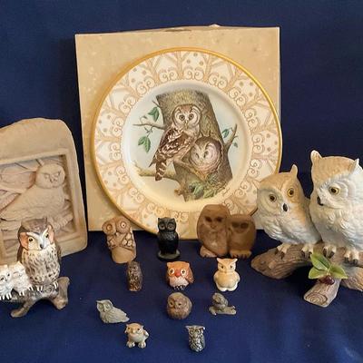 Owl Collection