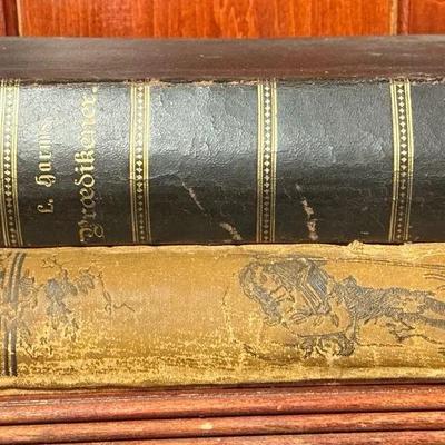 Antique Danish Christian Books "En Pilegrims Vandring" & "Praedikener"