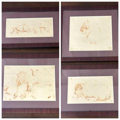 Set of Vintage Framed Animal Study Original Drawings