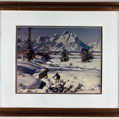 Signed Framed Moose Mountainscape Photograph