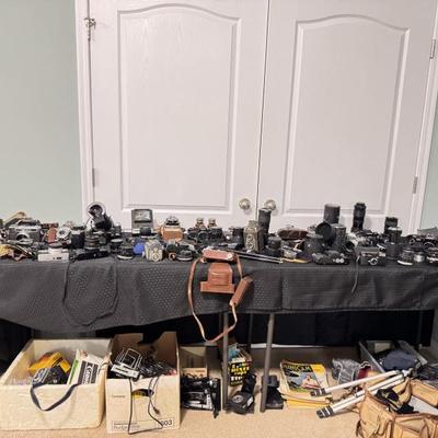 Sale Photo Thumbnail #43