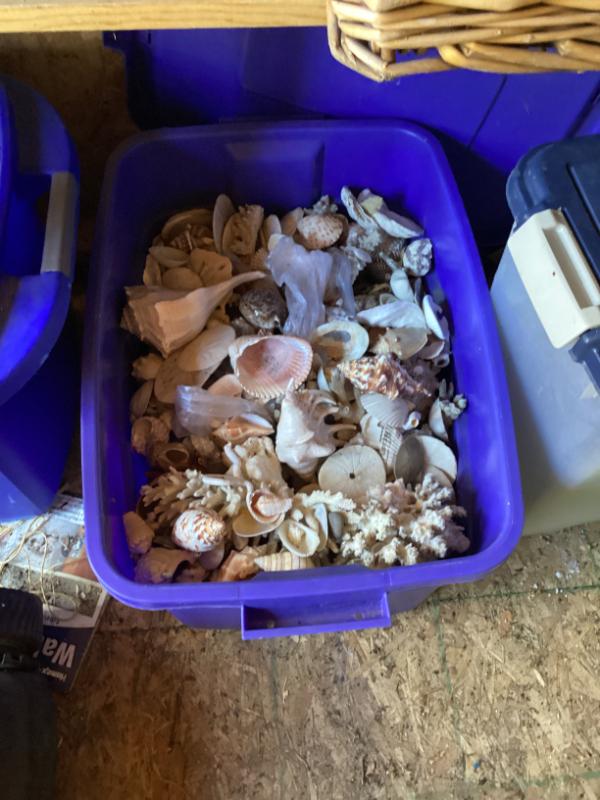 Sale Photo Thumbnail #111