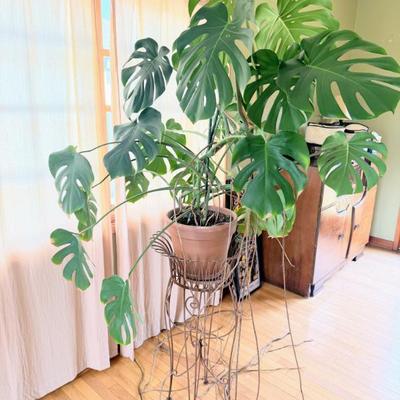 Sale Photo Thumbnail #145