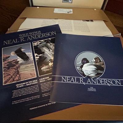 Sale Photo Thumbnail #557