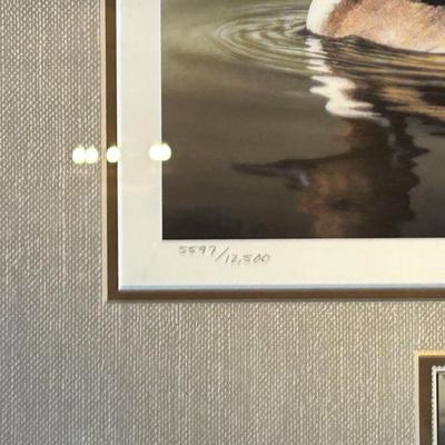 Sale Photo Thumbnail #531