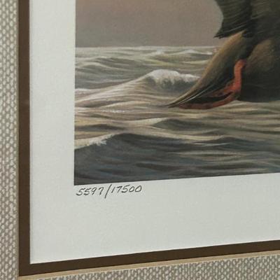 Sale Photo Thumbnail #568