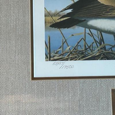 Sale Photo Thumbnail #538