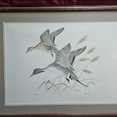 Sale Photo Thumbnail #35