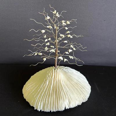 Sand Dollar Dove Tree