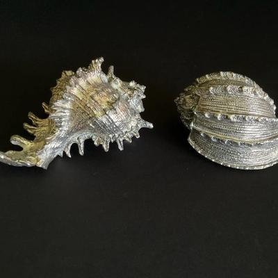 Silver Colored Shells