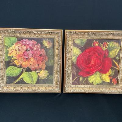 Kathryn White Rose And Hydrangea Canvas Print